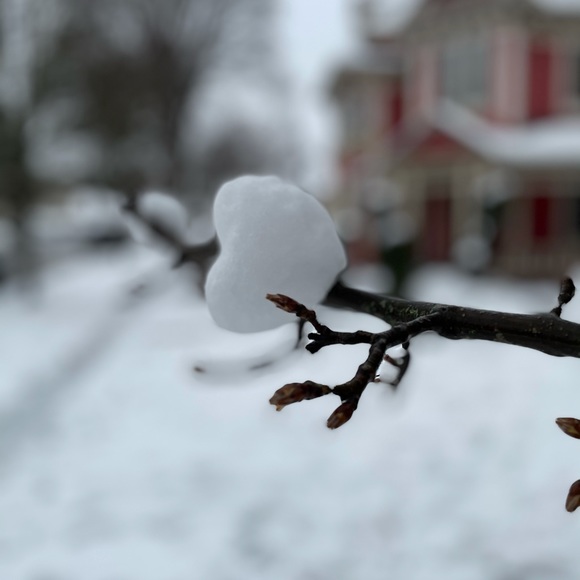 Meet your Posher, Lucretia - Picture 1 of 1